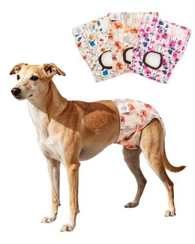 Image of CuteBone Dog Diapers Female Washable Small Medium Large 3 Pack Reusable Doggie Diapers Puppy Period Pants for Doggy Heat Cycle Peeing