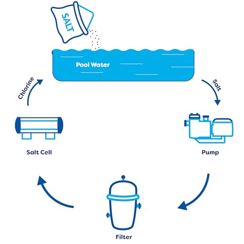 In The Swim RCCF35 Replacement for Autopilot RC-35/22 & SC-36 Salt Cells for Pools up to 40,000 Gallons and SYLVANIA SC36 2-Lamp 36W Xenon Emergency Light