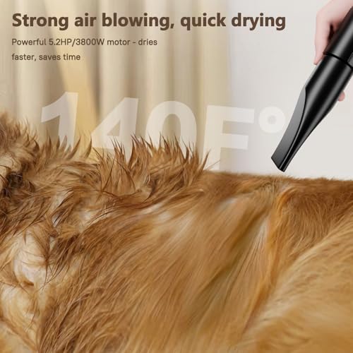Sèche-cheveux pour chien noir brossage et soin du pelage - 3