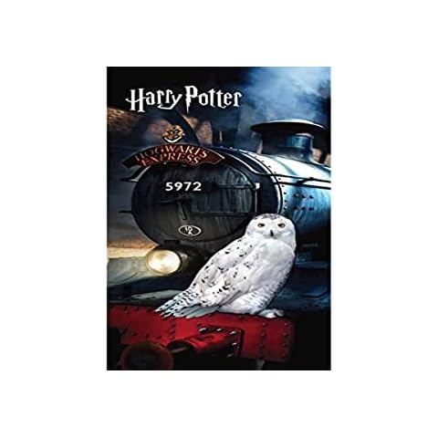 APTEX Harry Potter Hogwarts Hedwig Bath Towel 70 x 140 cm, Multicoloured Cover