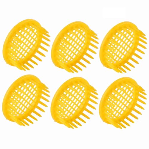 Yizisecce Queen Bee{bNXAZ{IppA6 PCSNC[P[WAvX`bN̖Ȋt[A{Ipip̃vX`bNĨt[Av̖I̔ɐBLbg