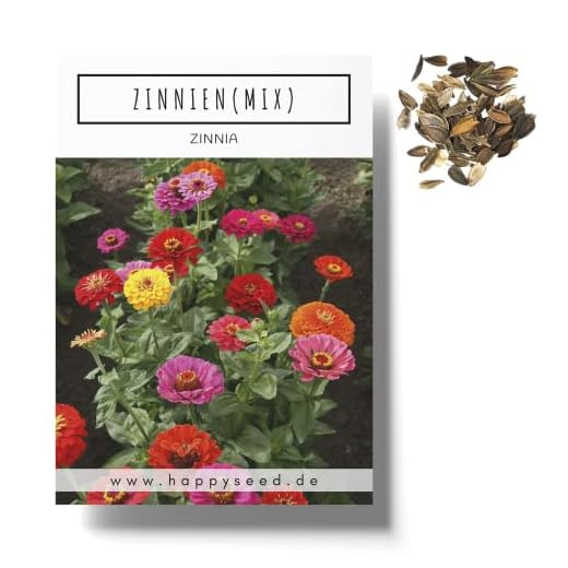 Mezcla de semillas de Zinnia (Zinnia) – Coloridas flores de verano para el bancal, el balcón, la terraza y como flor cortada en jarrones