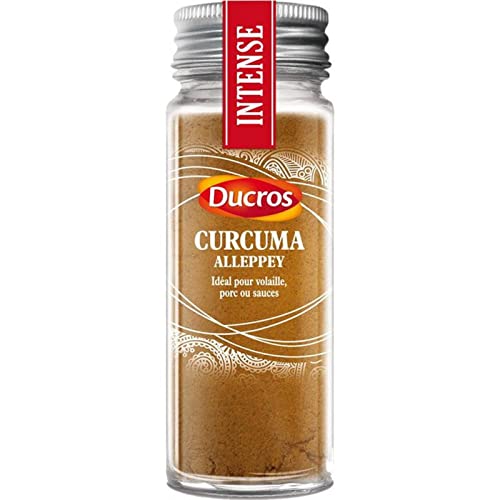 Curcuma Alleppey Torréfié Intense Ducros 39g | Épice Idéale pour Volaille et Porc (Lot de 3)