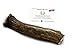 JimHodgesDogTraining Grade A Elk Antlers for Dogs - Whole - Large