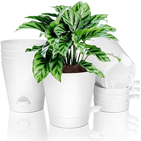 6 Inch Self Watering Plastic Planters, Warmplus Plant Pots for Indoor Outdoor with Drainage Holes, Watering Wick, Watering Lip for Snake Plant, African Violet, Aloe and Most House Plants, 6-Pack White Cover