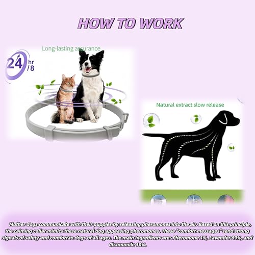 Image of Calming Collar for Dogs, Relieves Anxiety, Adjustable Design, Suitable for All Dogs with Barking, Biting, Scratching, and Insecurity (Gray, 1 Count)