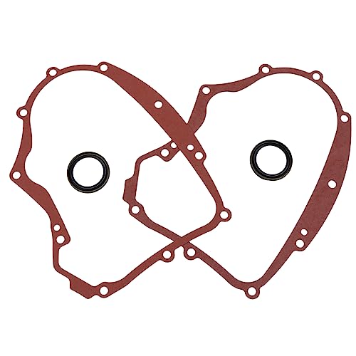 LSSOCH 2PCS Crankcase Gasket Kit 594195 & 2PCS Oil Seal 795387 Compatible with BS 591911 273488 690945 697227 591911 791892 690947 499145
