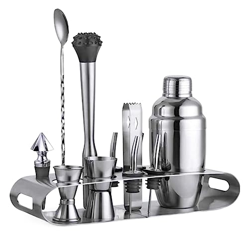 DANNMPX Kit Cocktail Juego De Coctelera 12 Piezas Herramientas Barra Acero Inoxidable Camarero con Soporte Exhibición Juego De Coctéles(750ml)