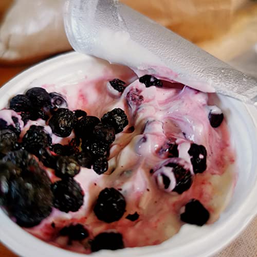 Freeze Dried Blueberry Wild | Freeze Dried Fruit | Mill Dried Blueberries for Vegan Wild Blueberry Powder | Fresh Bilberry Frozen and Fruit Bites Trail Mix with other Dried Fruits | Vaccinum Myrtillus