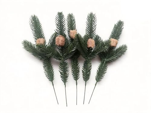 Praying Mantis Ootheca Egg Case on a Pine Branch(Five Egg Cases) Imitate the Wild Environment Release to the Garden Nature Each Ootheca can Produce up to 400 Baby mantises