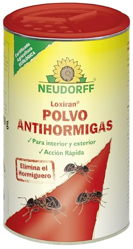 Neudorff Loxira Polvo Antihormigas – Control rápido de hormigas y hormigueros para interiores y exteriores. Cebo para hormigas para espolvorear, 250 g