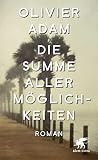 Die Summe aller Möglichkeiten: Roman