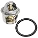 CALTRIC THERMOSTAT & O-RING FIT POLARIS RANGER CREW / XP 700 EFI 4X4 2005-2009