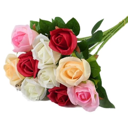  o [Yԑ 10{Zbg KN ԑ o^Cf[ ͂Ȃ }`bN ԃu[P ԏ A[gt[ ʐ^ ̓  a j v[g Q ItBX  (SFA\[g)