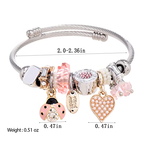 DS Charm Bracelets for girls,exquisite cute cartoon friendship bracelets Silver Stainless Steel Bangle with birthday Gift box, Adjustable girls jewelry Suitable for holiday gifts2