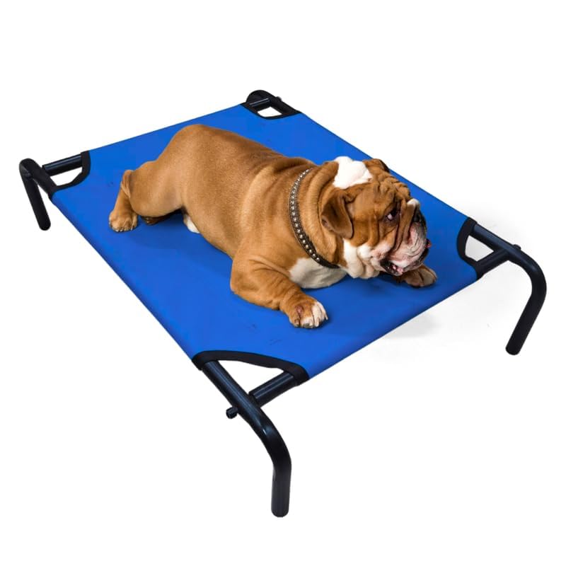 Pets Empire Elevated Cooling Pets Bed for Small Dogs & Cats | Breathable Raised Cot with Sturdy Frame for Indoor & Outdoor Comfort, Easy to Assemble and Clean, Dog Cot Bed,(28 x 22 x 7in Medium, Blue) Pets Empire Elevated Cooling Pets Bed for Small Dogs & Cats | Breathable Raised Cot with Sturdy Frame for Indoor & Outdoor Comfort, Easy to Assemble and Clean, Dog Cot Bed,(28 x 22 x 7in Medium, Blue)