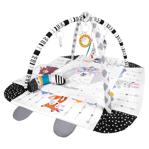 Vifxucy xr[vC}bgAxr[N[}bgA@\tFXWAmߋAVA{[20AȒPAVMtgzf[MtgɍœK (fB)