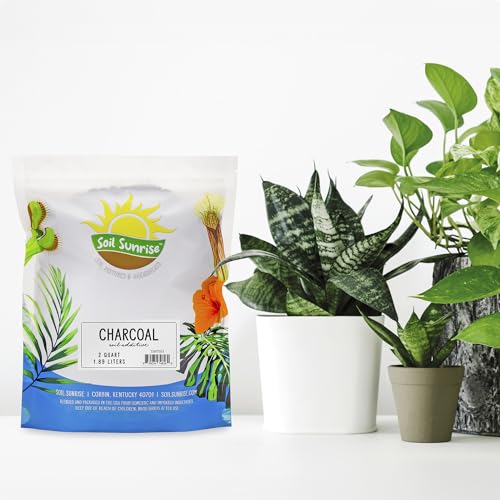 Soil Sunrise Horticultural Charcoal for Indoor Plants (2 Quarts) Hardwood Soil Additive for Orchids, Terrariums, and Gardening