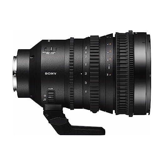 Sony 18-110mm f/4 G Zoom Lens