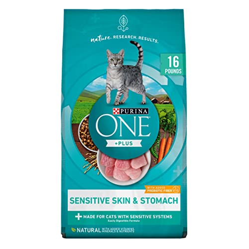 10 Best Cat Foods For Older Cats Balanced Nutrition for Cat