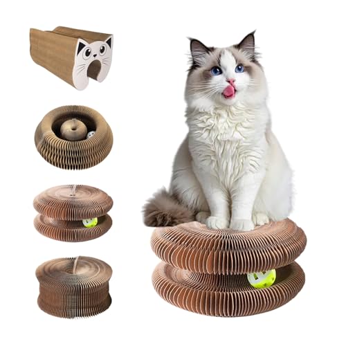 }WbNIKLbgXNb`[{[hL{[ATCN\Ȓi{[ōꂽL̂AɋϖՐA܂݉\