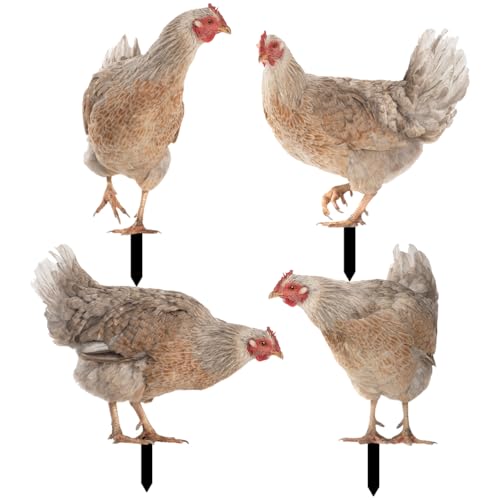 Yardwe Juego de 4 figuras de jardín, figuras de pollo y gallinas, decoración de jardín, animales, estatua, estatua, escultura, valla, césped, decoración, decoración de primavera