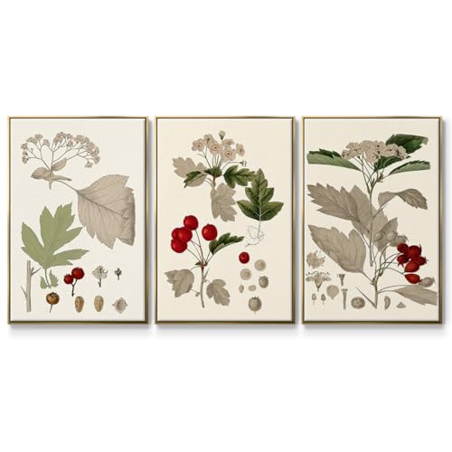 Renditions Gallery Canvas Botanical Art Modern Paintings Foliage Green Leaves
