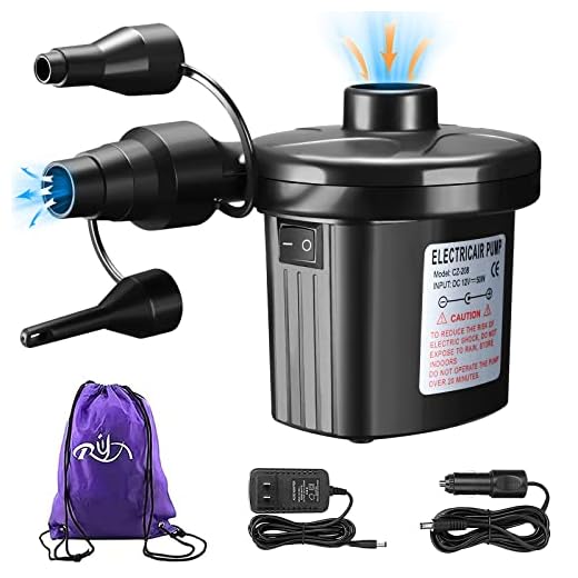 Rongyuxuan Electric Air Pump for Inflatables, 2 in 1 Portable Quick-Fill Air Pump,110V AC & 12V DC Inflator Deflator for Air Mattress, Swimming Rings, Airbeds, Water Toys, with 3Nozzles,Storage Bag