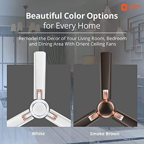 Image of Orient Electric Apex Prime 1200mm High Speed Ceiling Fan (Smoke Brown, Pack of 1)