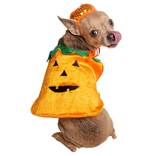 Disfraz de Calabaza para Perro Pequeño PET KREWE