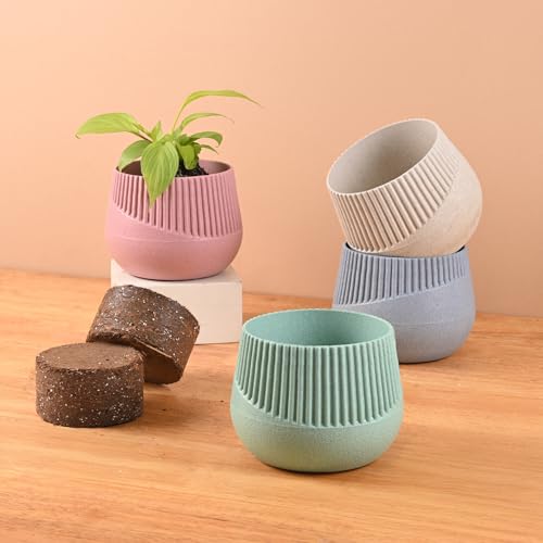 Image of Eha Earth Friendly Oreo 4 inch Small pots for Indoor Plants with 2 Growmix| Pack of 4| Made with Bamboo Fibers|Table Top Planters for Home Decor and Office, Flower Pot for Living Room|Multicolor