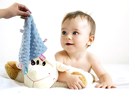 Image of CREVENT Tag Security Blankets for Babies, Soft Small Loveys for Boys, Baby Comforter Sensory Blanket, Great Gifts for Birthday Baby Shower (10 inchX10 inch Blue + Pink Tag)