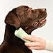 Tangle Teezer | Pet Teezer | Puppy Grooming Brush | Dry Brush or Dog Bath Brush | Mint