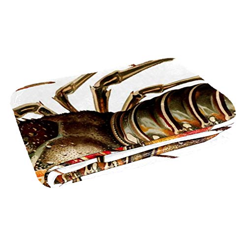 Plaid homard doux et chaud jeté de lit isolant pour camping - 3