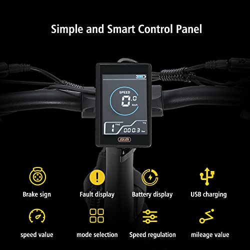 BURCHDA R7PRO Bicicletta elettrica pieghevole