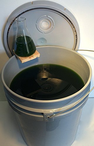 Algae Research Supply Algae Culture Porphyridium Cruentum, Perfect for School Science Fairs/Projects, Experiments & Classrooms (20L)