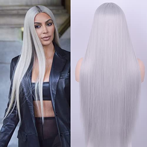 TANTAKO Lang Grau Perücke mit Kleiner Tieferer Mittelteil Lace Weißgrau Lace Front Perücke für Damen Daily Perücke (366 Grau) Cover
