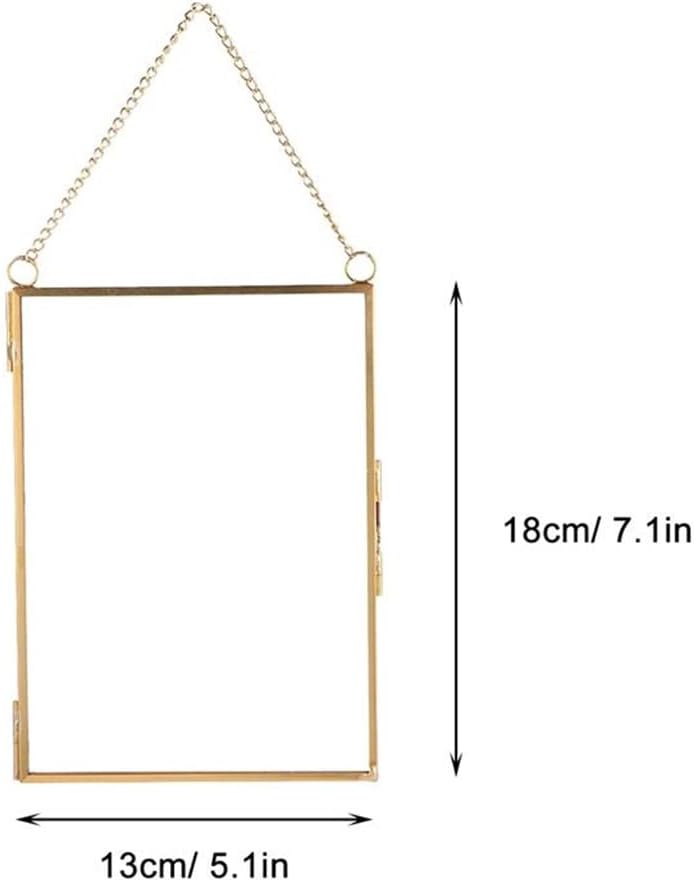 Hanging Glass Photo Specimen Clip Decorative Picture Specimen Holder Home Office DIY Photo Wall Decoration(D)