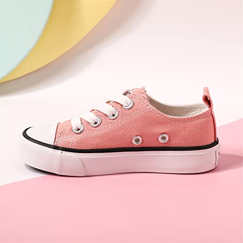 PATPAT Toddler Shoes for Girl & Boy, Toddler Sneakers Little Kid Shoes [Breathable & Comfortable] [Lightweight & Durable] Casual, Stylish and Comfortable Slip-On Canvas Sneaker Toddler Shoes Size3