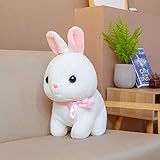 N / A Hot 35cm Conejo Gordo Grande Animales de Peluche Juguetes Conejito Relleno Conejo Rosa / Blanco Juguetes Suaves Niños Juguetes para Dormir Regalos de cumpleaños 35 cm
