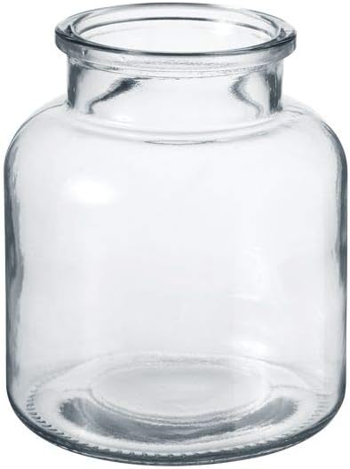 OASIS Modern Clear Glass Wide Flower Jar - Twig Stem Bouquet Display Vase (14 x 16cm)