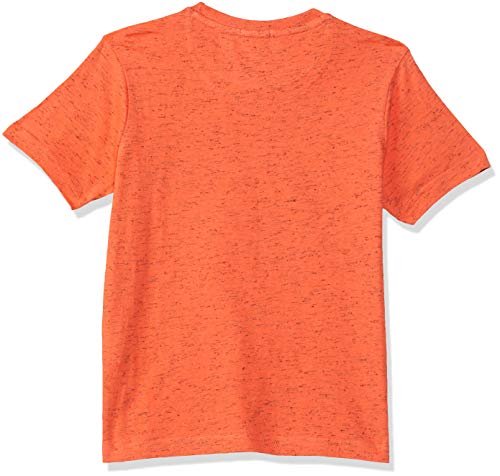 Image of Indian Terrain Boy's Regular fit T-Shirt