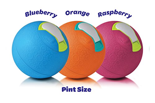 Yaylabs! Softshell Ice Cream Ball, Orange, Pint Size #TOP5