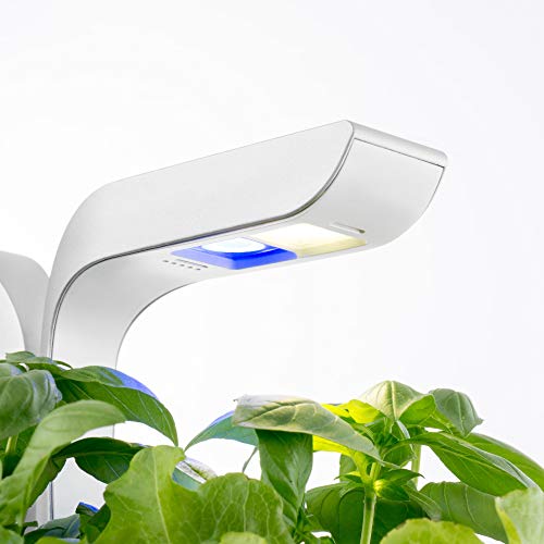 Véritable® Classic (Blanc) - Potager d’Intérieur Fabriqué en France – Jardin Autonome Intelligent Livré Avec 4 Lingots® Véritable® Classic (Blanc) - Potager d’Intérieur Fabriqué en France – Jardin Autonome Intelligent Livré Avec 4 Lingots®