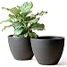 Resin Tree Planter Flower Pots - 11.3 Inch Planter with Drainage for Indoor Outdoor Plants Flowers, Black, Set of 2