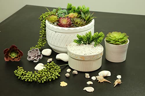 Decorous Succulents Plants Artificial - 14 Premium Fake Succulents Unpotted - Large Artificial Succulent Bulk For Indoor And Outdoor Diy Decor - Fake Cactus Plant - Realistic Faux Succulents #TOP2