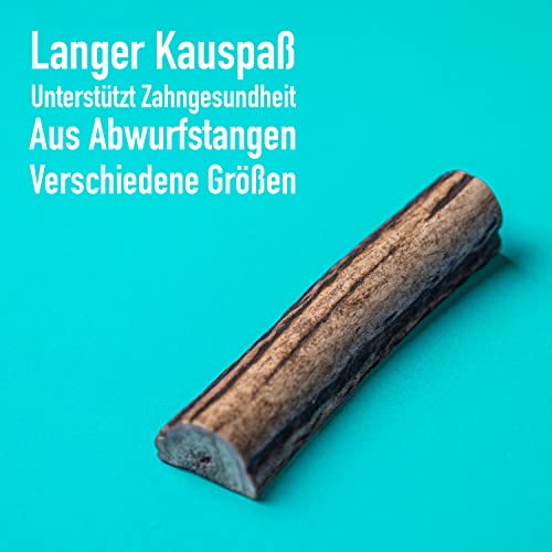 Kauspielzeug für Hunde aus Hirschgeweih Größe L – 14 cm