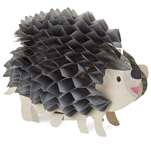 Hallmark Pop Up Birthday Greeting Card (Honeycomb Hedgehog) (599Rzq1002) #TOP2