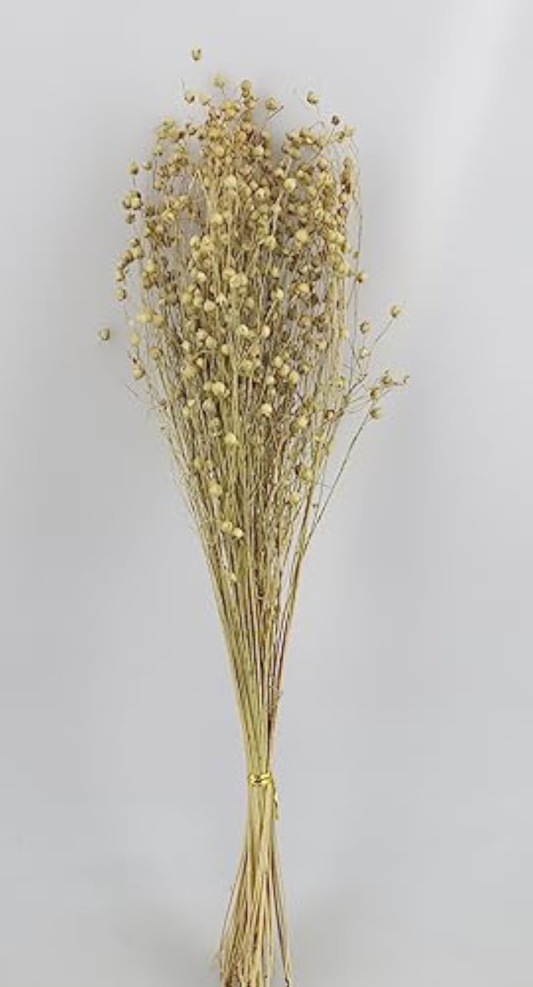 Eco-Friendly Grass for Vase Filler, Home Decor