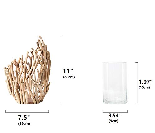 100% Handwork Natural Driftwood Wooden Decoration Vase with Hydroponics GlassJar - Image 5